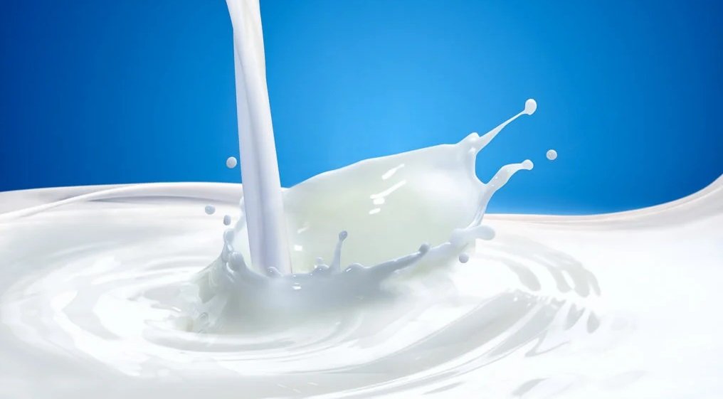 Effective Milk Production Subsidy Program in Baglung