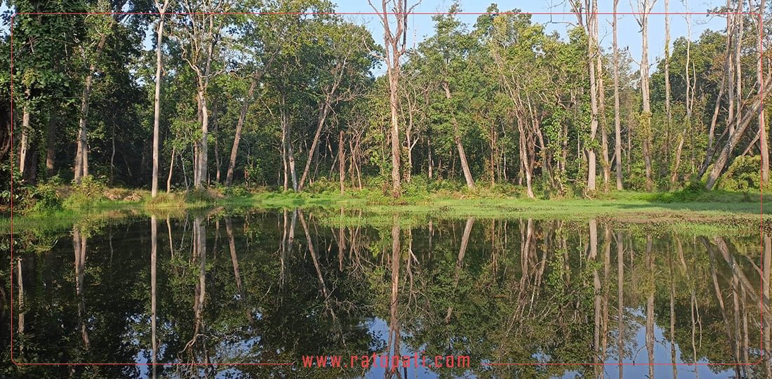 Water management increases wildlife population within Parsa National Park