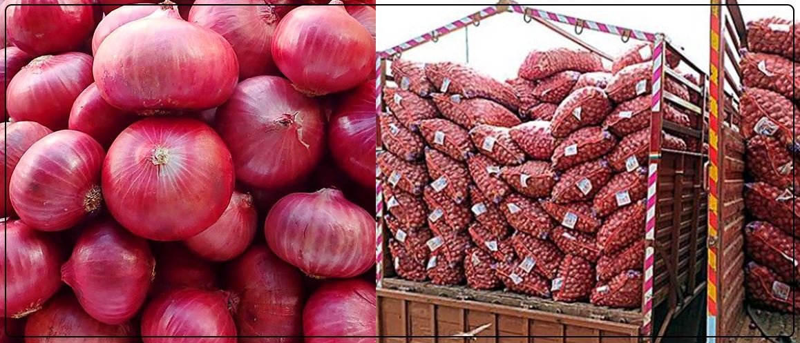 India imposes 40 percent tax on onion exports