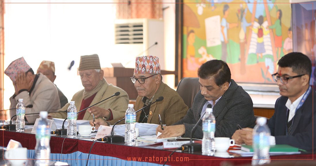 PAC meeting: UML MP Lama criticizes opposition MPs, sparks heated debate