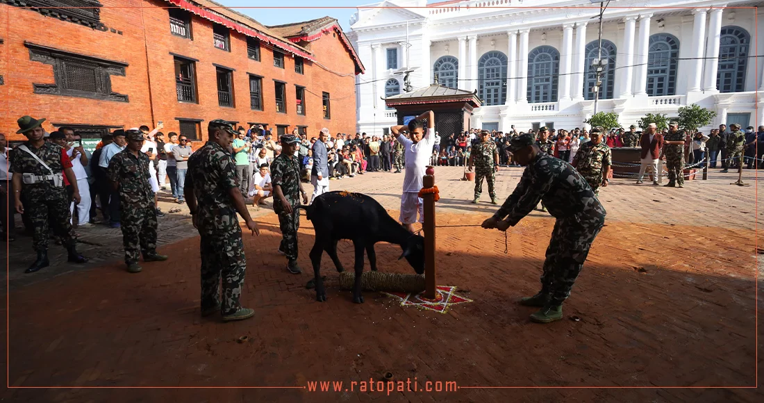 Pancha Bali performed at Hanuman Dhoka (pictures)