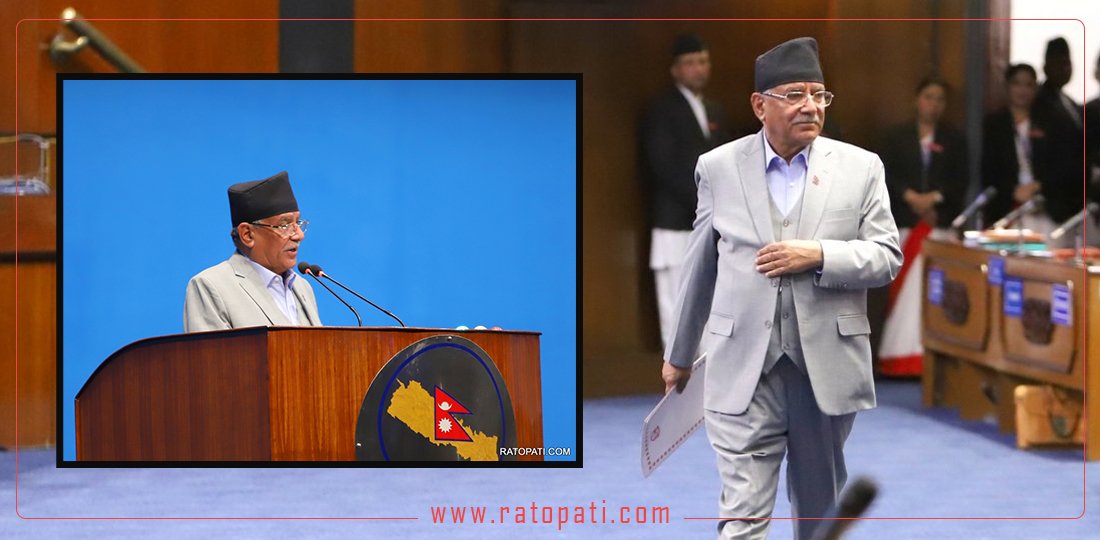 In pictures: Today's House of Representatives session