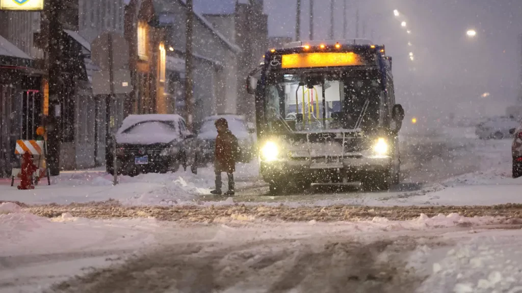 Polar vortex to bring freezing weather to US