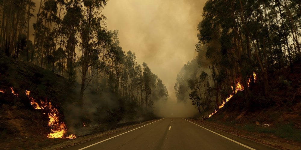 Portugal declares state of calamity as wildfires rage out of control