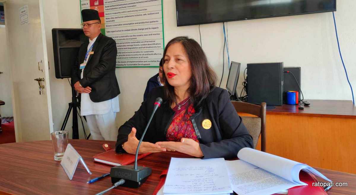 PHC meeting: Proposed ambassador Lamsal outlines her action plan