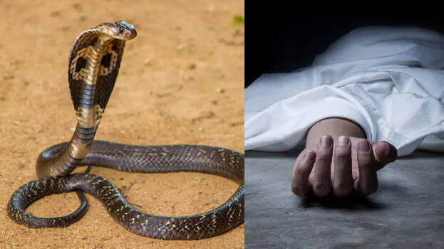 One dies of snakebite in Bajura