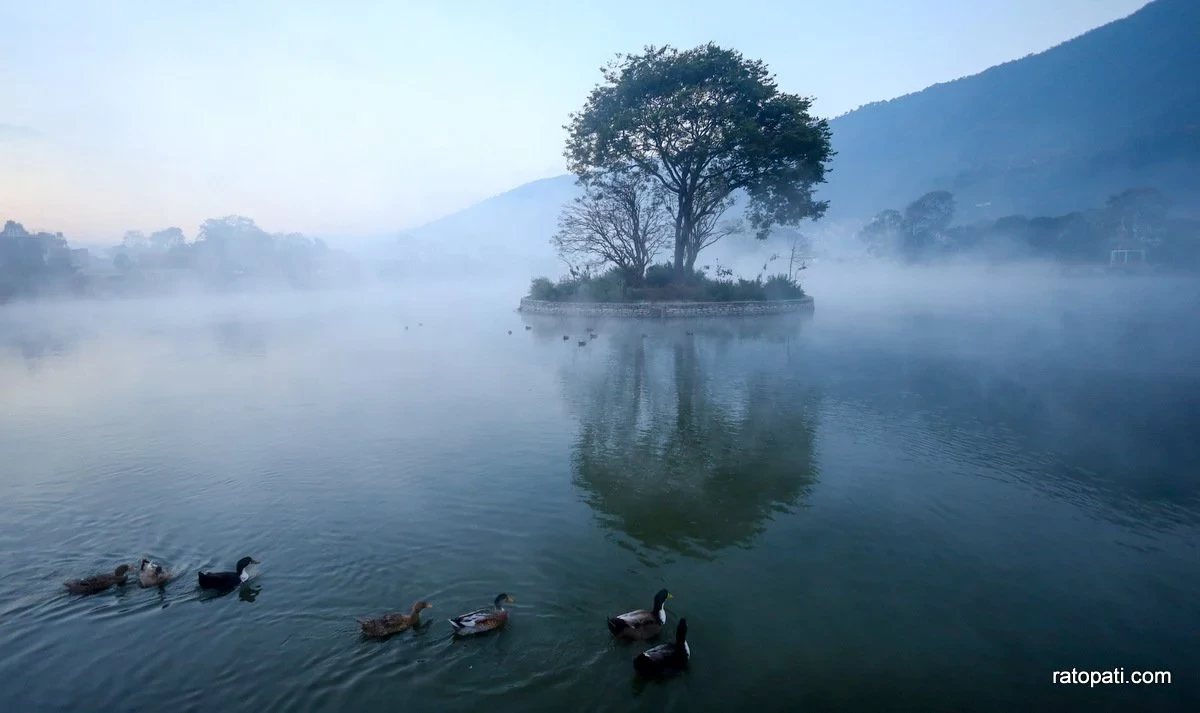 Taudaha comes alive with birds as winter sets in (photos)