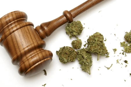Indian National Arrested at Kathmandu Airport with 5kg of Cannabis from Thailand